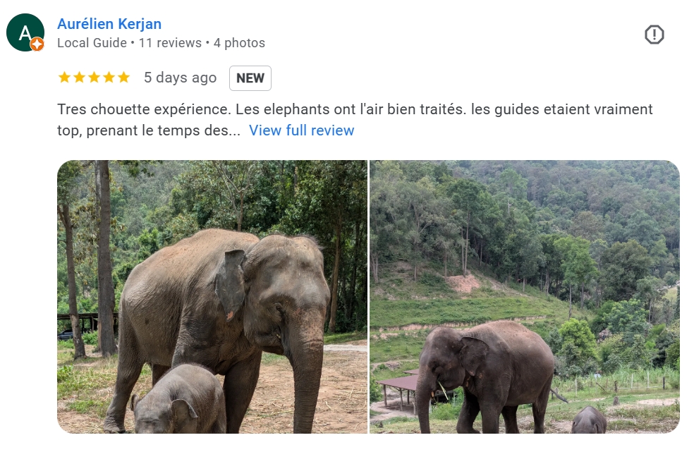 pon elephpant chiangmai thailand reviews